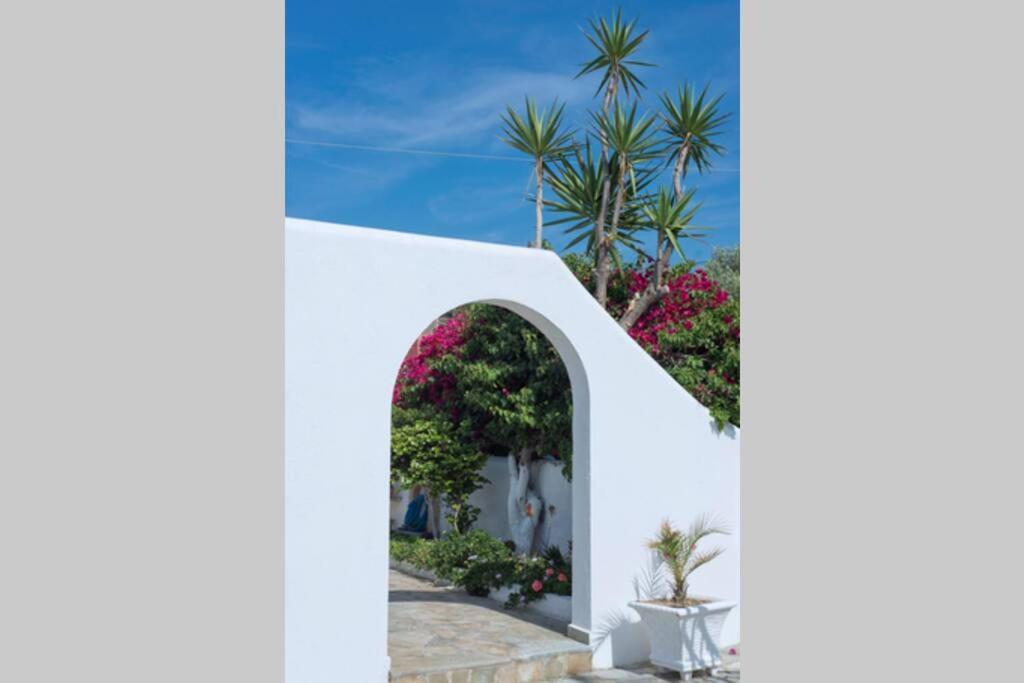 Palmaya Villa, Unique Seafront Experience Vagia  Exterior foto