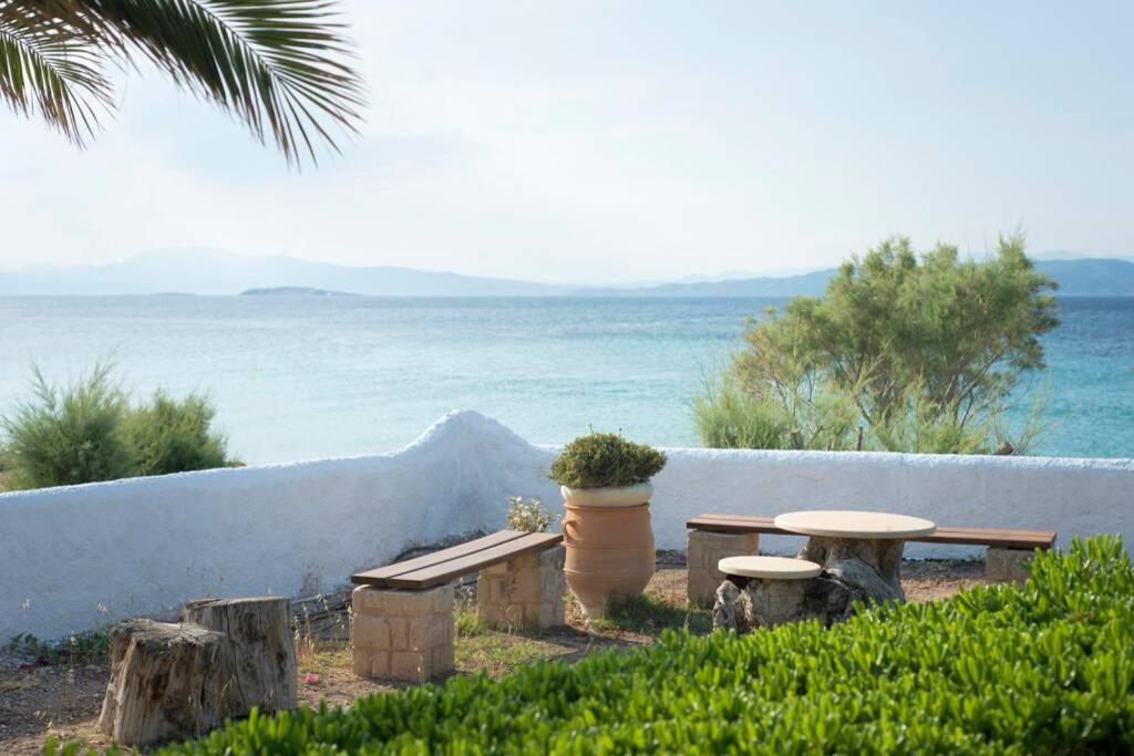 Palmaya Villa, Unique Seafront Experience Vagia  Exterior foto